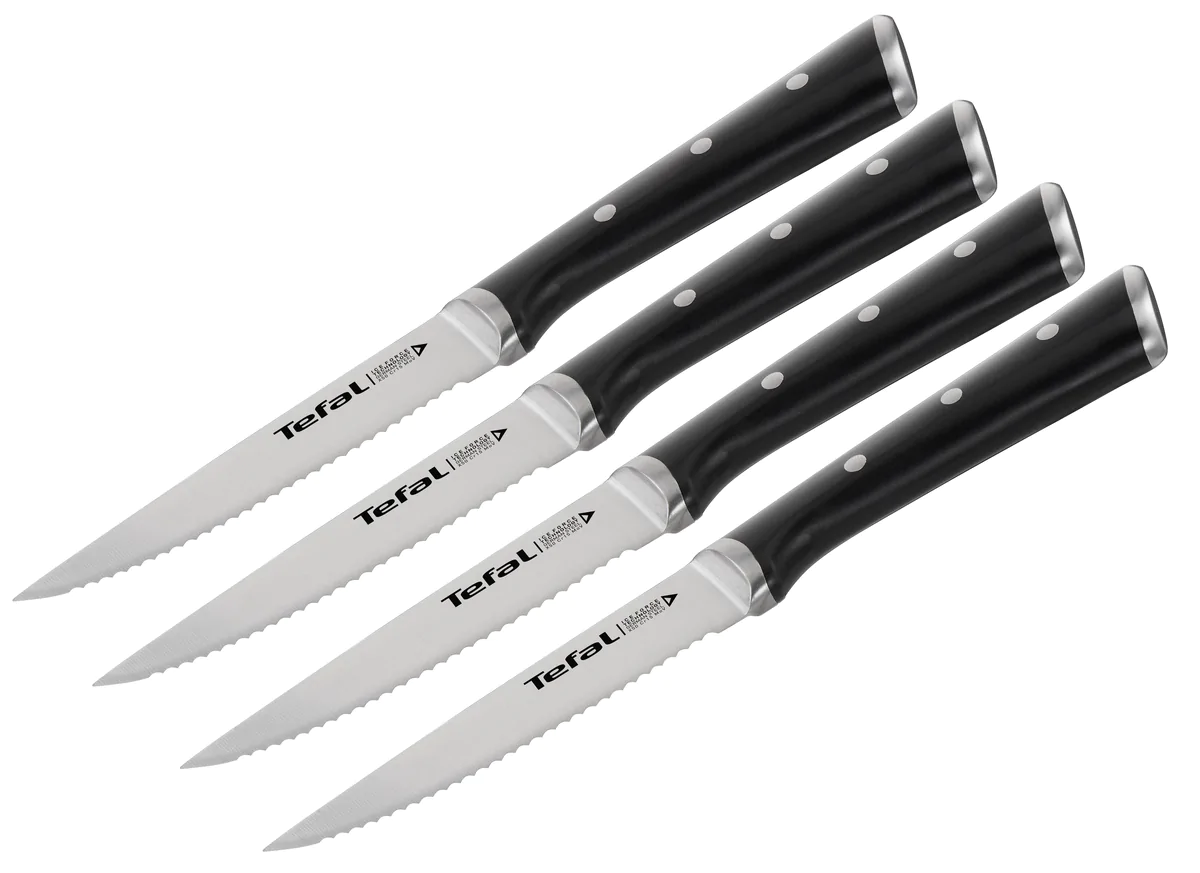 Набір з 4 ножів для стейка Tefal Ice Force K232S414