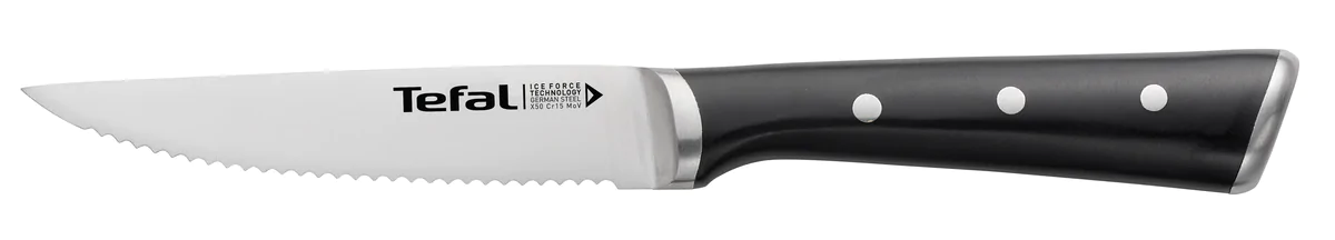 Набір з 4 ножів для стейка Tefal Ice Force K232S414