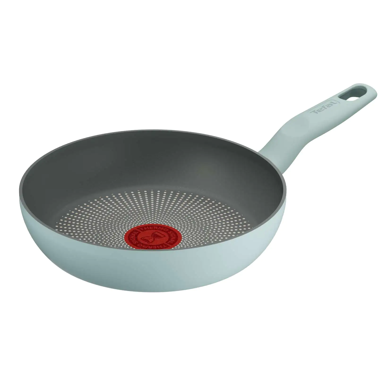 Сковорода Tefal Halo Eucalyptus 20 см G0160202