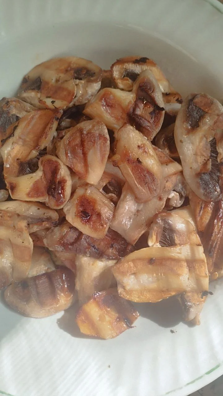 Катя Мислюк