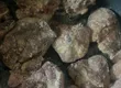 Лідія Маслюк Лідія Маслюк