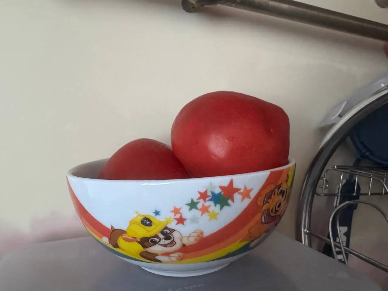 Маргарита Анчук
