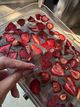 Анна Соломонович Анна Соломонович