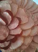 Кароліна Кульчук Кароліна Кульчук