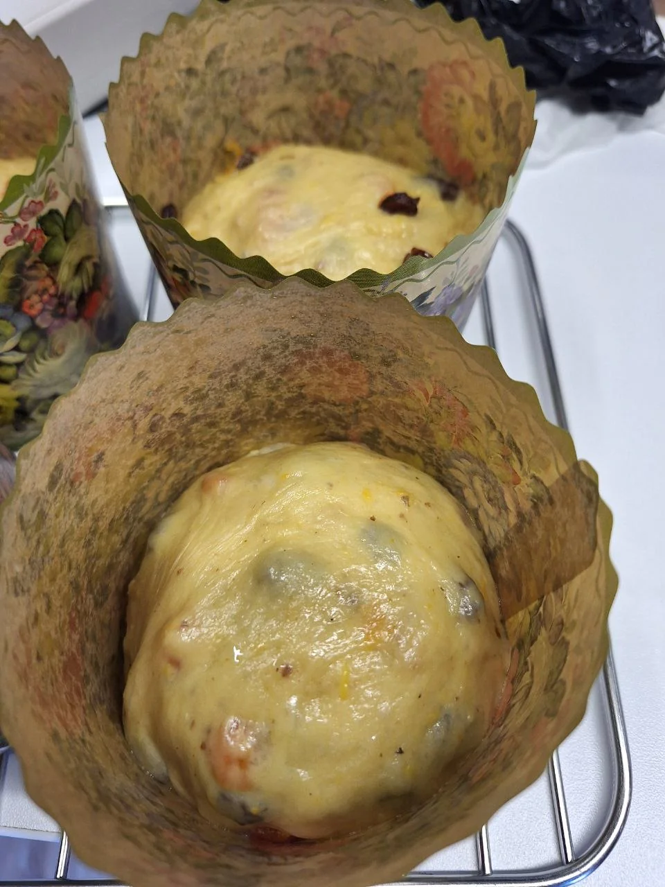 Марта Денисюк
