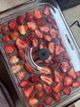 Кароліна Кароліна