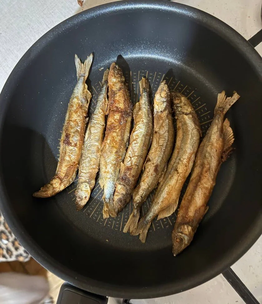 Ірина Прийдун