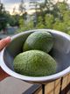 Юлія Кузела Юлія Кузела
