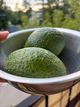 Юлія Кузела Юлія Кузела