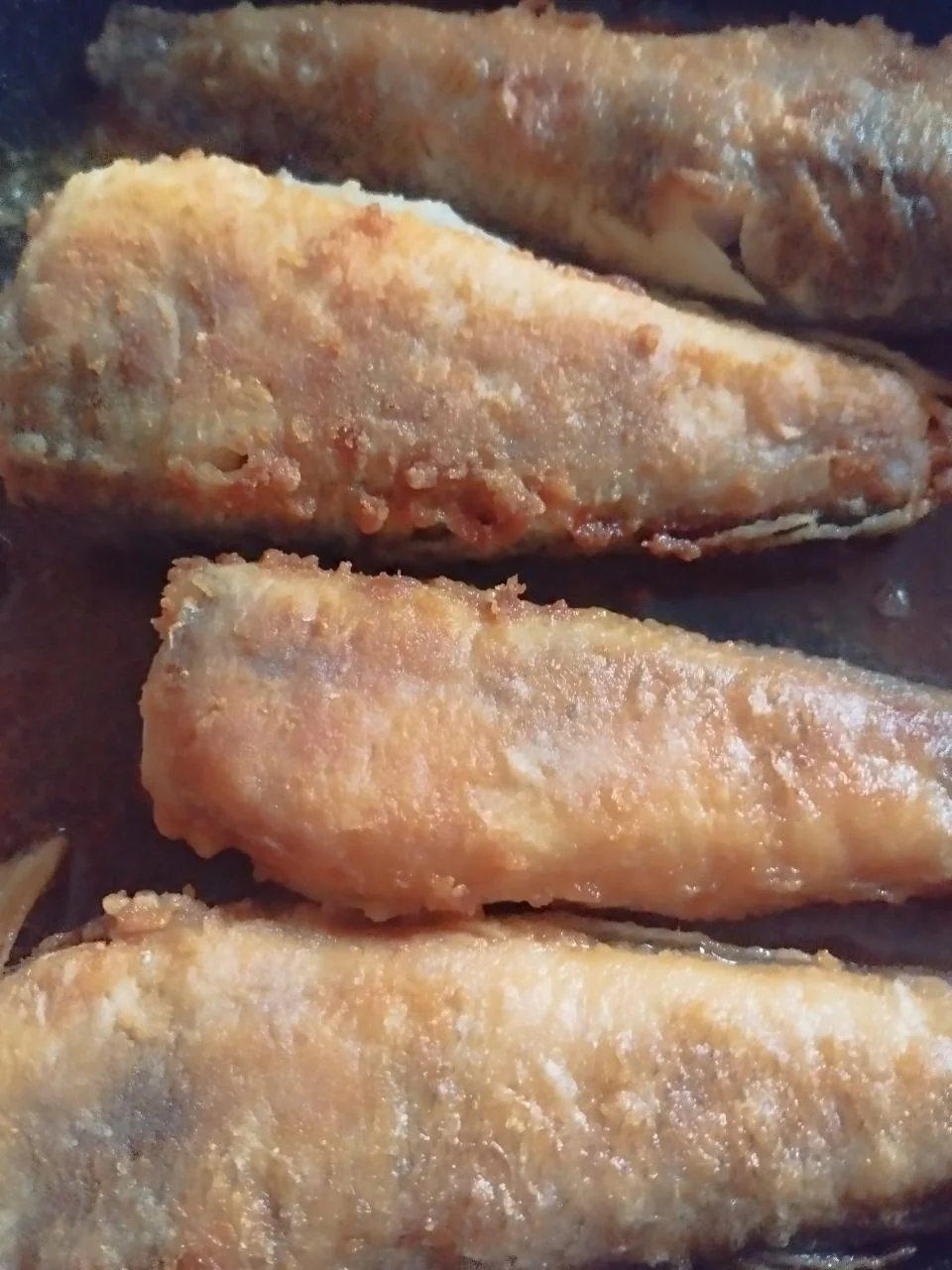 Катя Юрковська