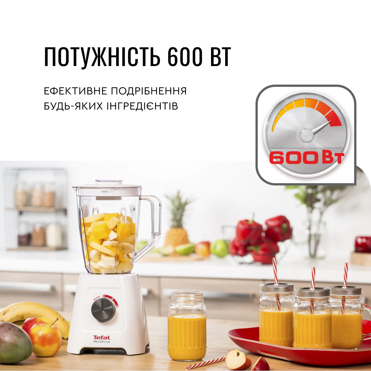 Блендер стаціонарний Tefal  BLENDFORCE 2 BL420131