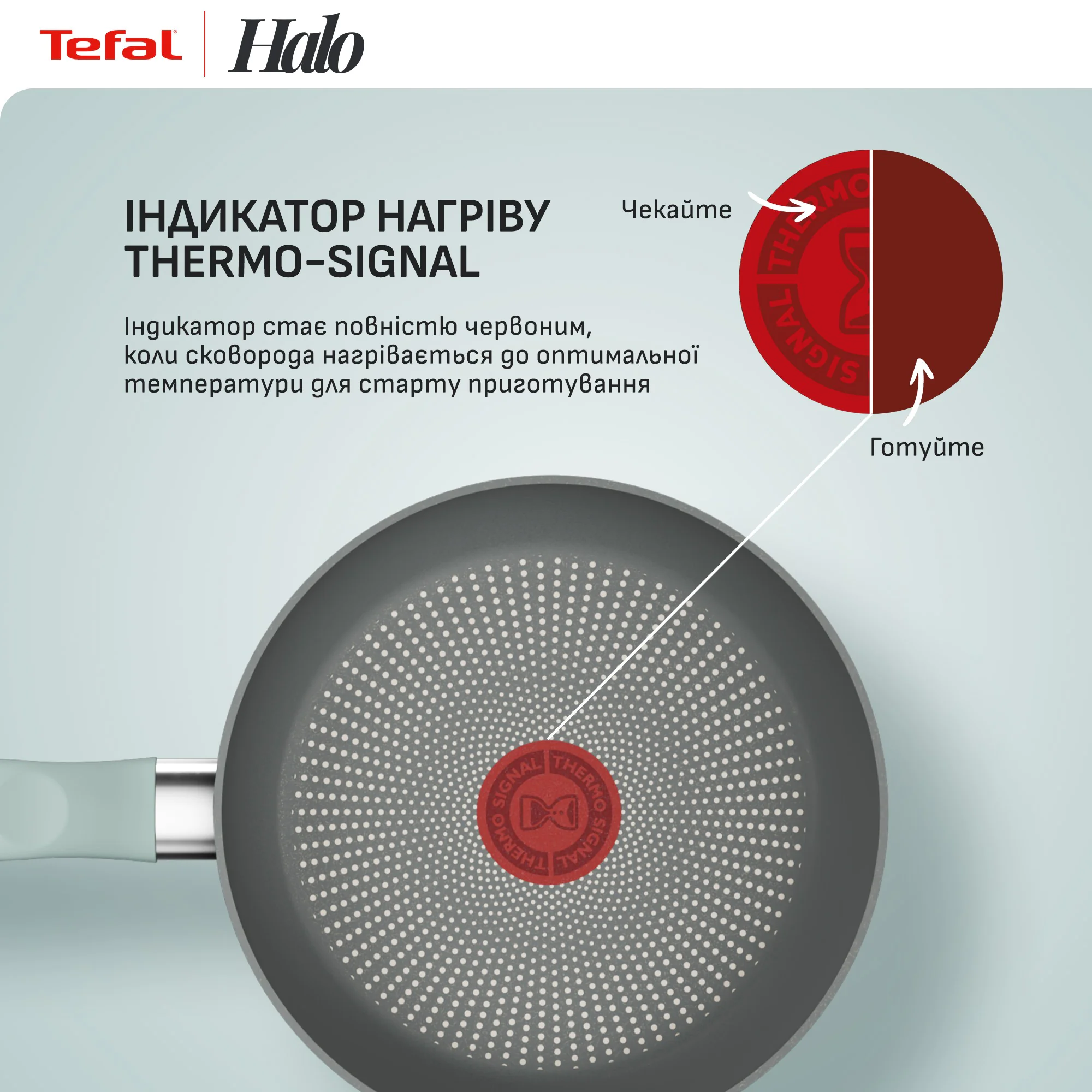 Сковорода Tefal Halo Eucalyptus 20 см G0160202