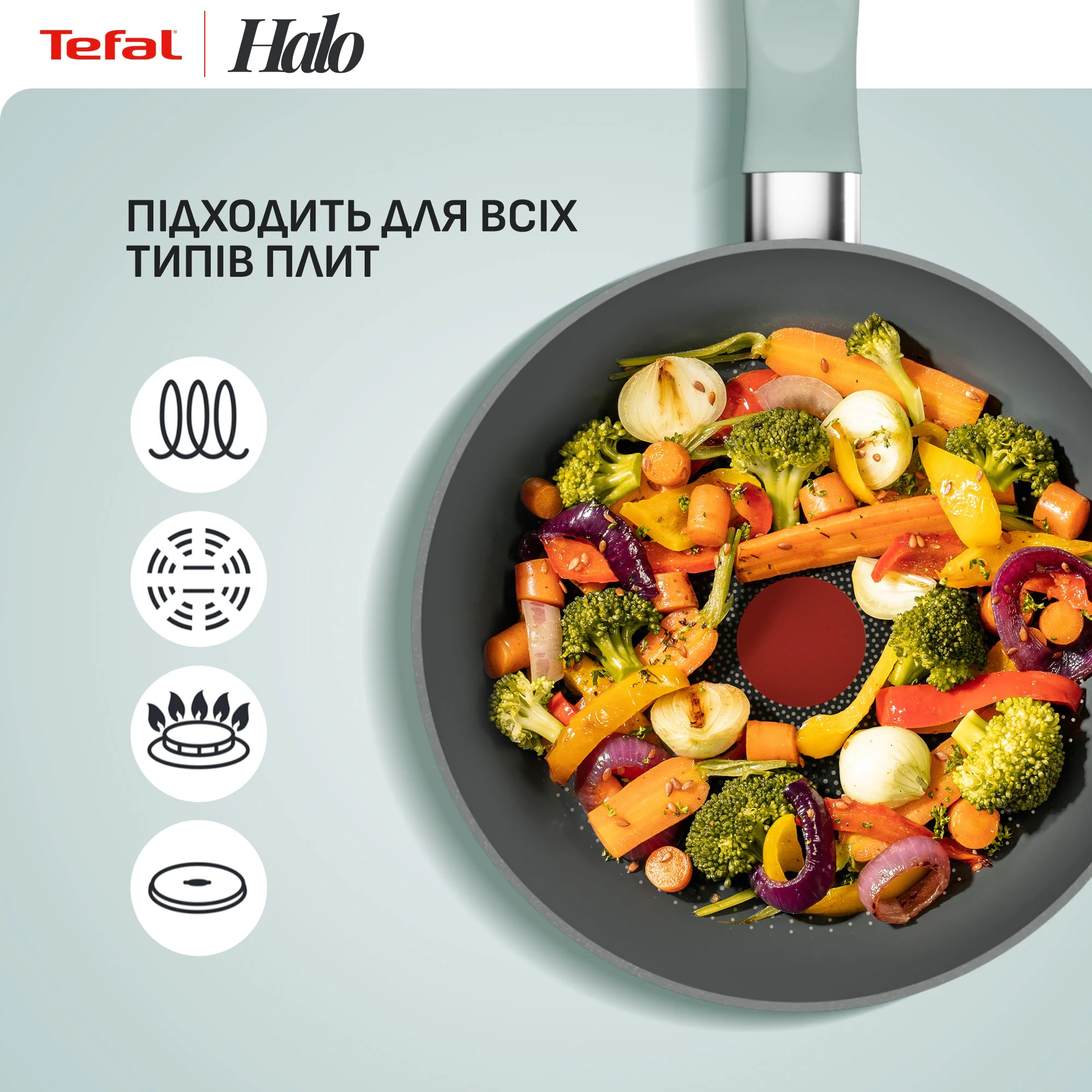 Сковорода Tefal Halo Eucalyptus 20 см G0160202