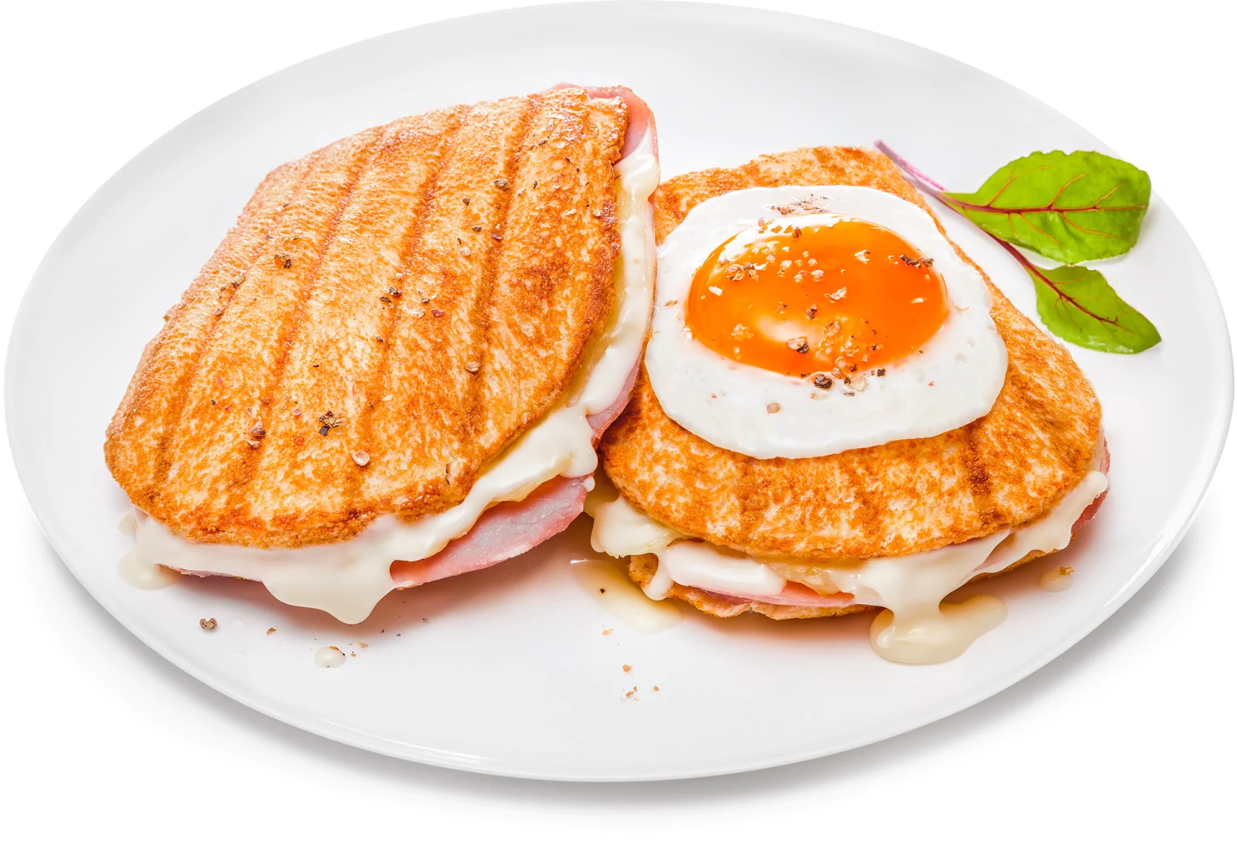 Мультимейкер Tefal Snack Time SW341031