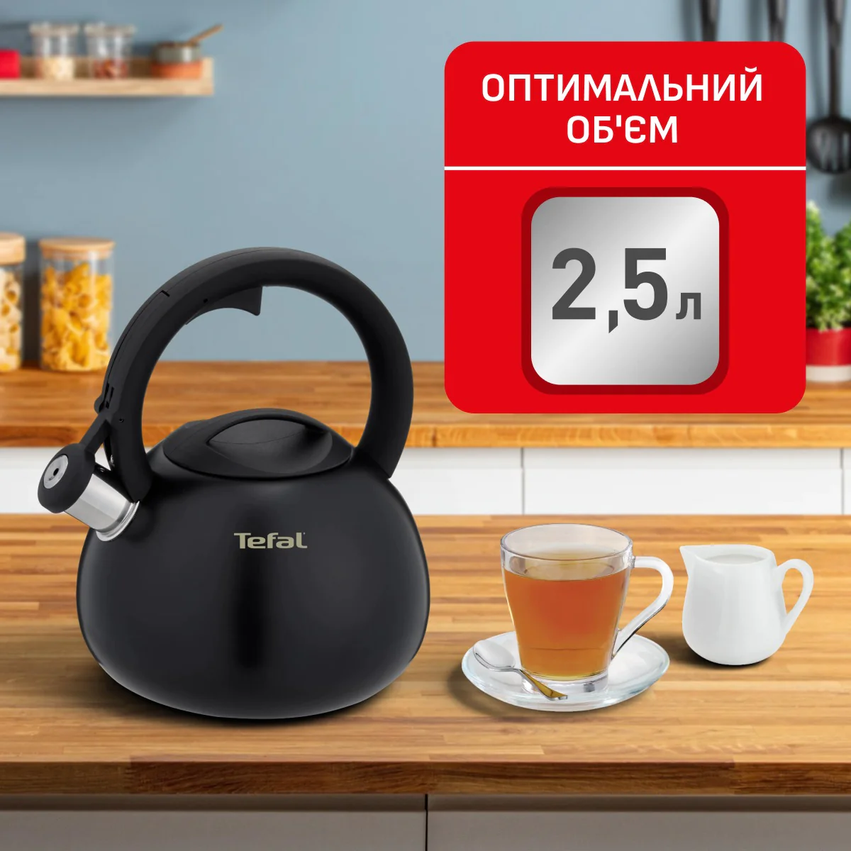 ᐉ Чайник зі свистком Tefal Duetto+ 2.5 л N4180410 ➡ купити в