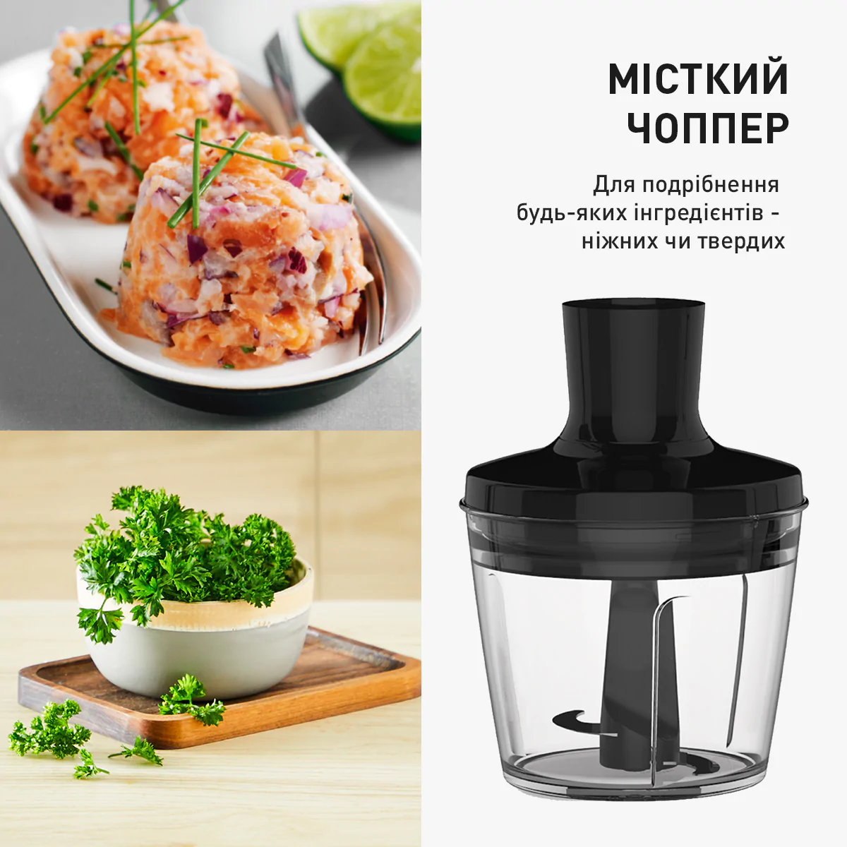 Блендер заглибний Tefal Quickchef Quartzite 4in1 Ice Crush HB65KD38