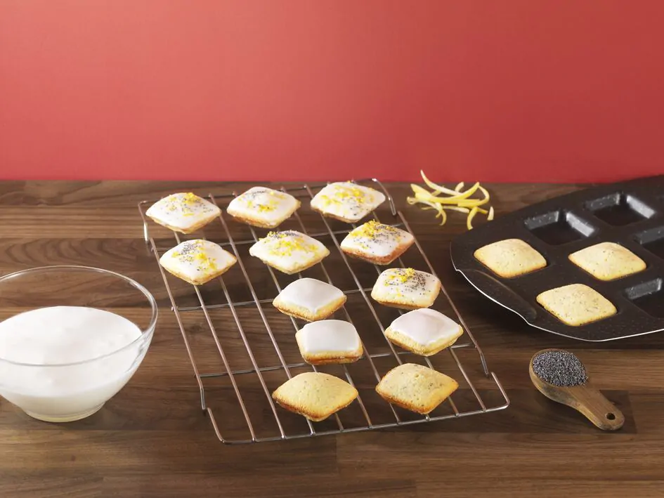 Деко Tefal PerfectBake з 10 формами 21х29 см J5734502