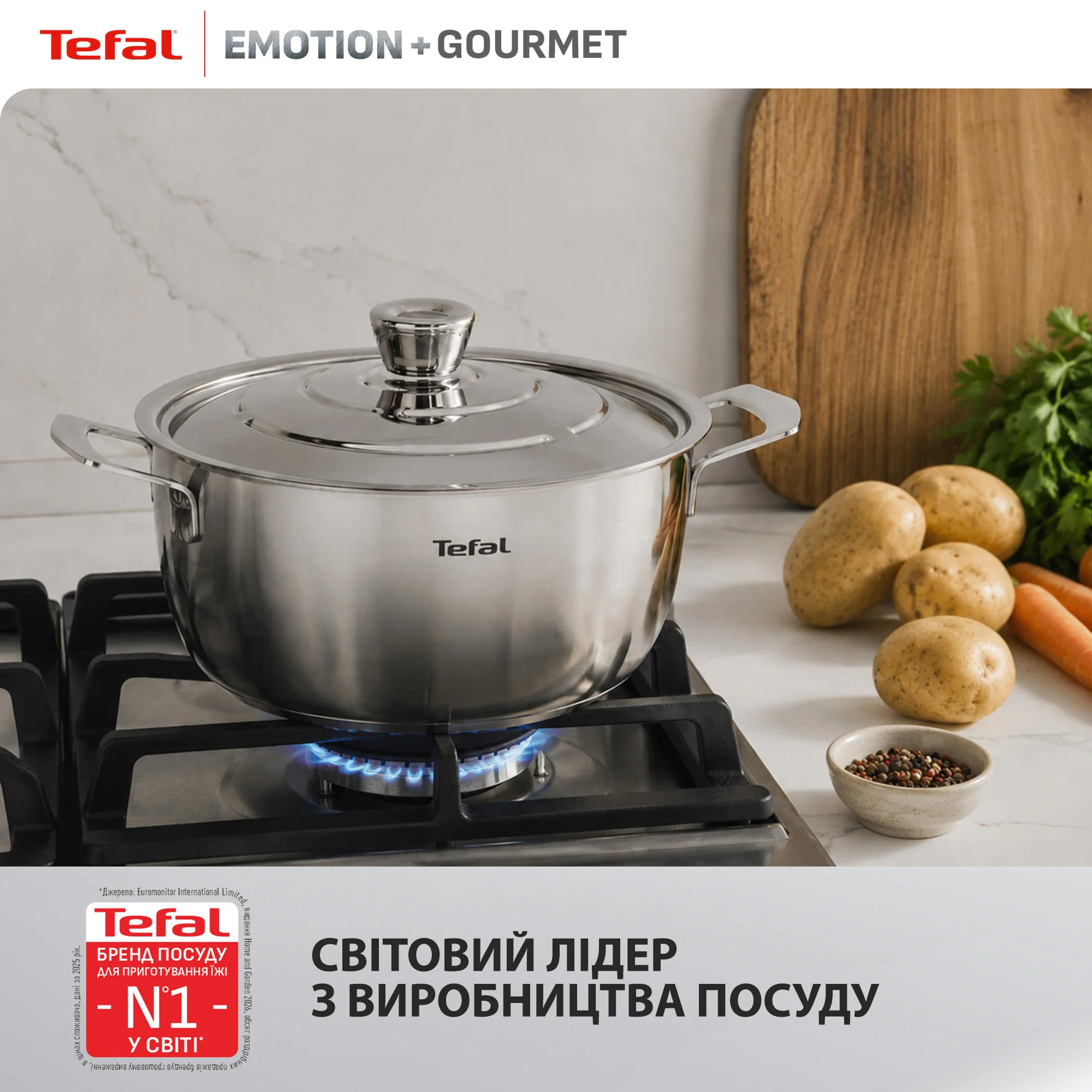 Каструля з кришкою Tefal Emotion+ Gourmet 24 см (4,4 л) E3394655