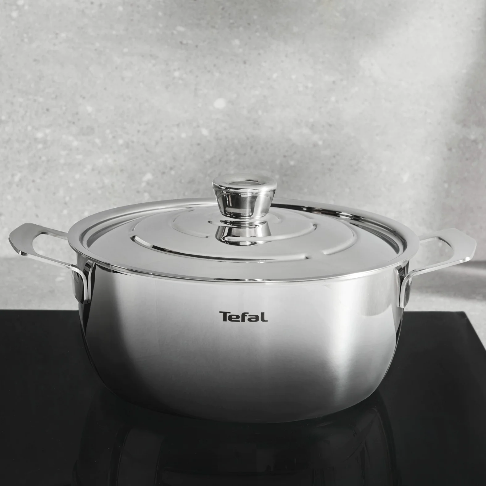 Каструля з кришкою Tefal Emotion+ Gourmet 24 см (4,4 л) E3394655