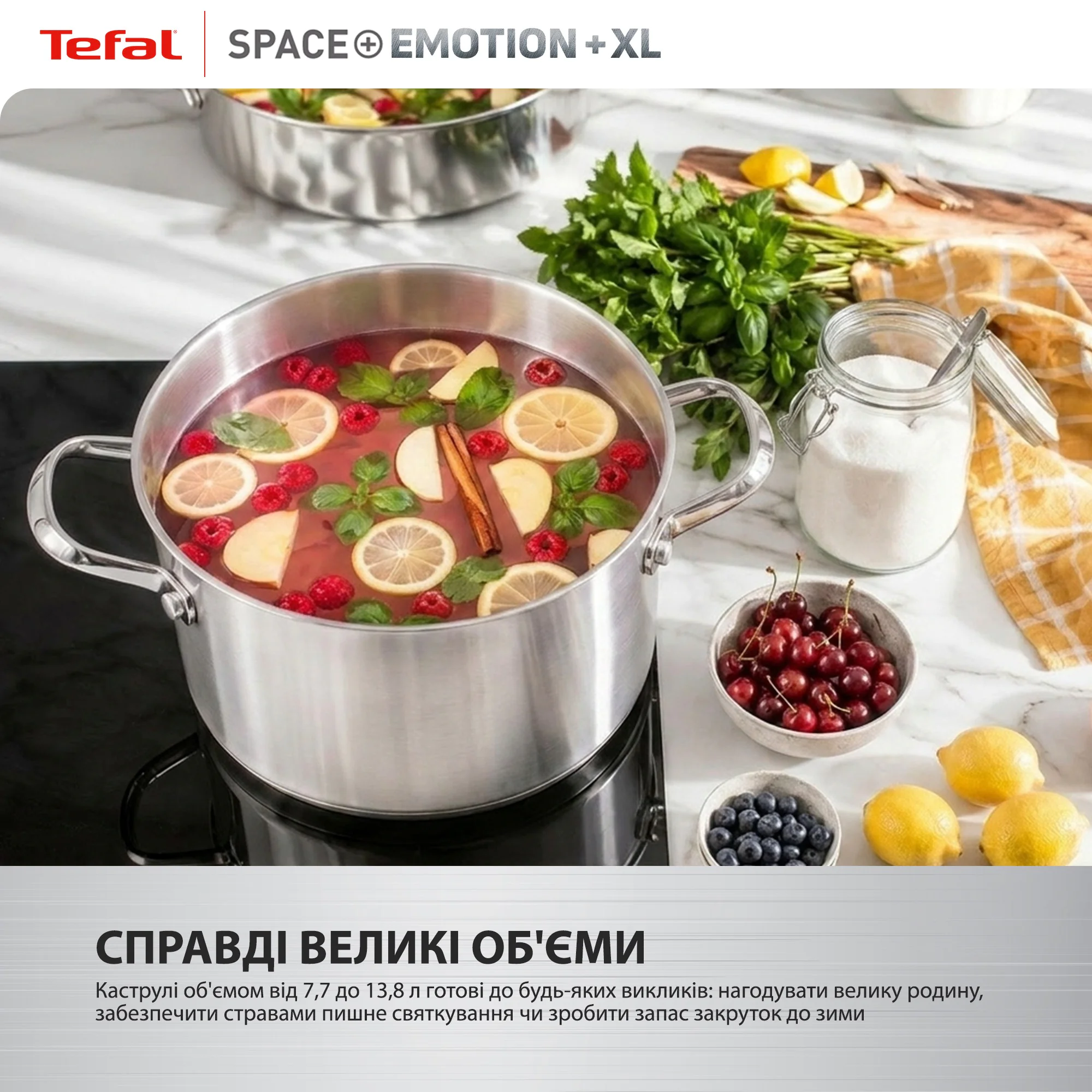 Каструля Tefal Space+ Emotion+ XL 30 см (11,4 л) E3366955