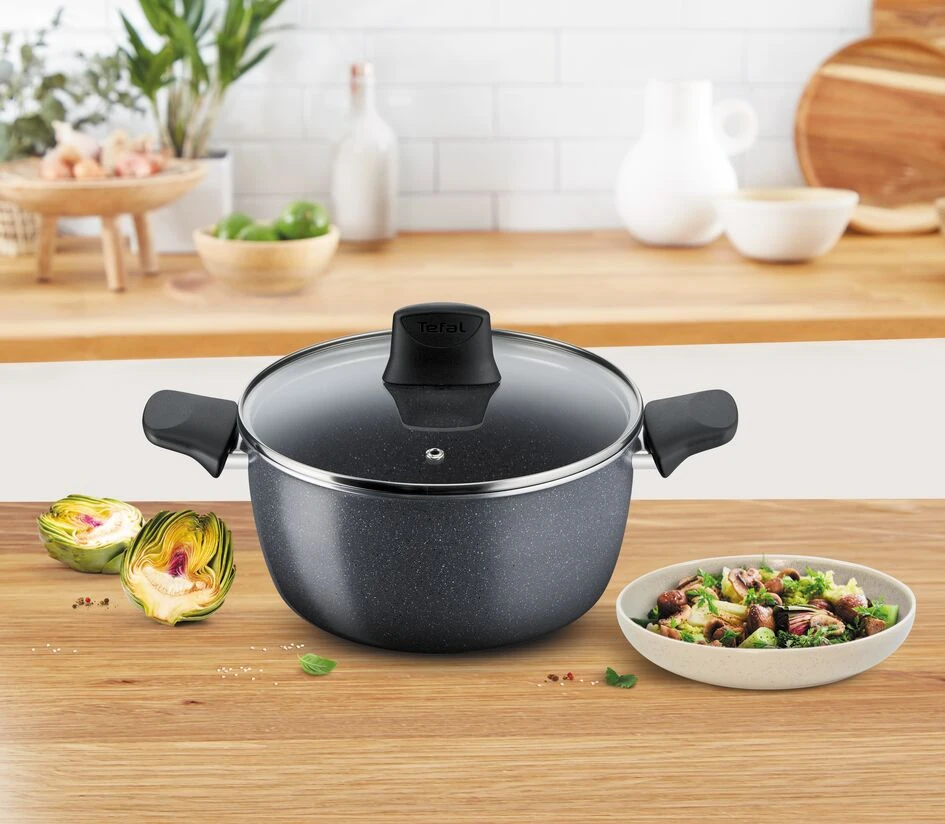 Каструля з кришкою Tefal Hard Stone 22 см (3.8 л) D4564553