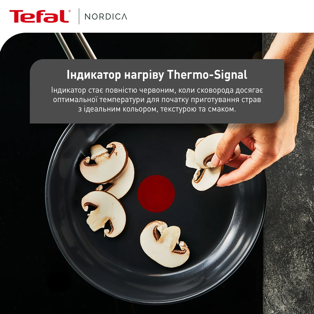 Сковорода Tefal Nordica 24 см H8710455