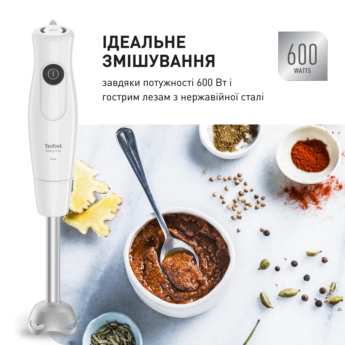 Блендер заглибний Tefal Dailymix HB533138